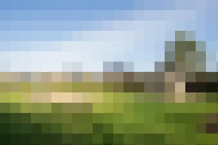 Stappeland 88 De Koog thumbnail 58