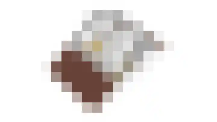 Stappeland 88 De Koog thumbnail 64