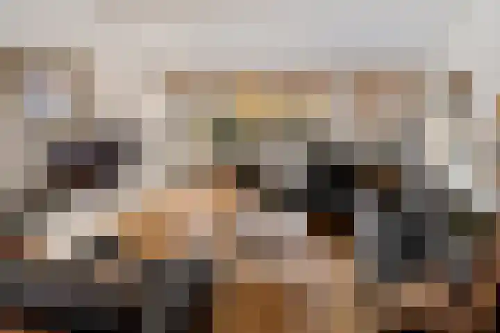 Staringhove 12 Zoetermeer thumbnail 11