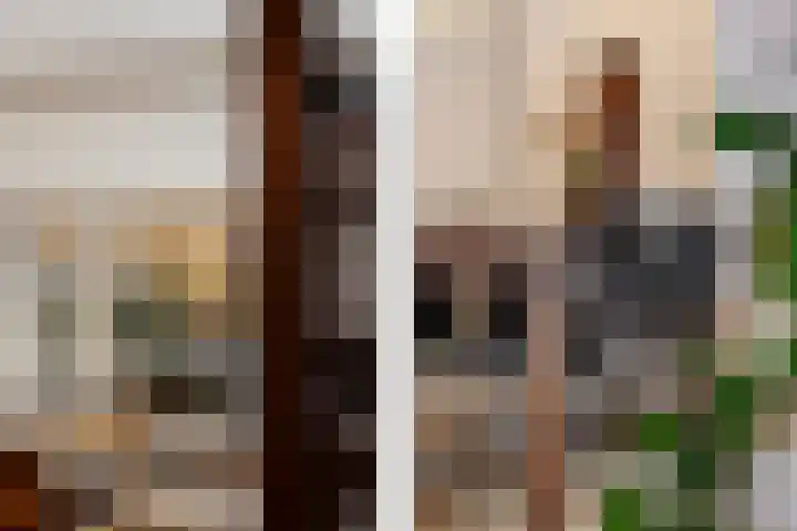 Staringhove 12 Zoetermeer thumbnail 12