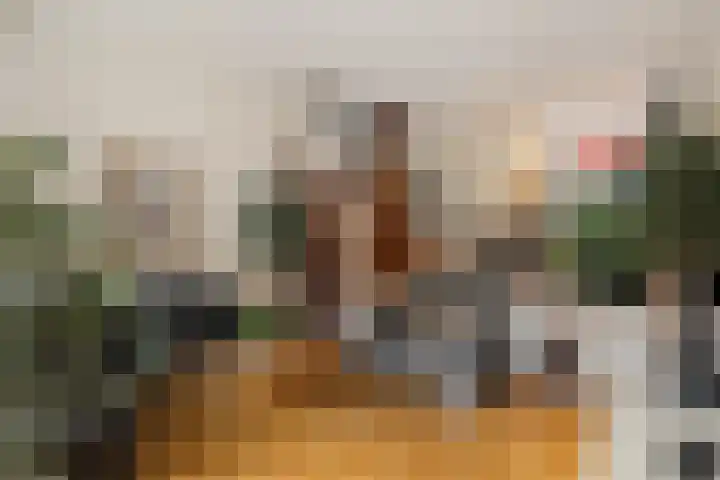 Staringhove 12 Zoetermeer thumbnail 14