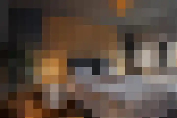 Staringhove 12 Zoetermeer thumbnail 26