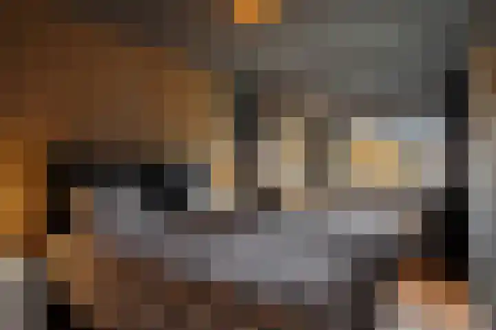 Staringhove 12 Zoetermeer thumbnail 27