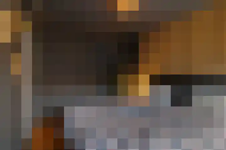 Staringhove 12 Zoetermeer thumbnail 28