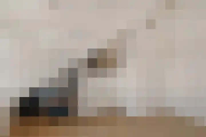 Staringhove 12 Zoetermeer thumbnail 40