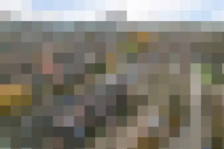 Staringhove 12 Zoetermeer thumbnail 44