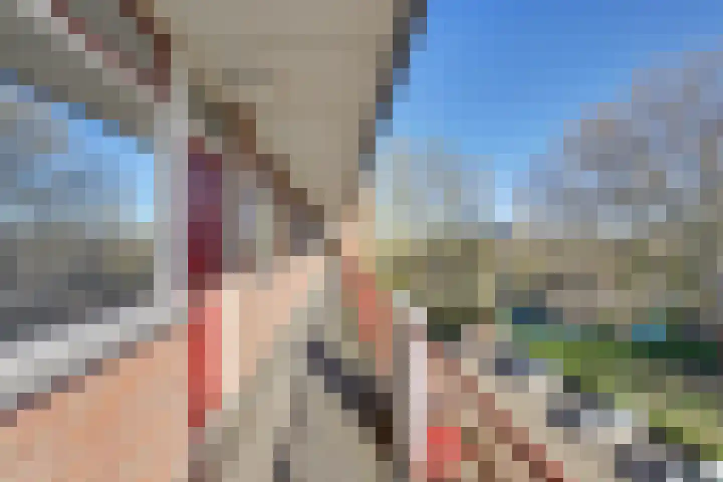 Staringlaan 182 Papendrecht thumbnail 6