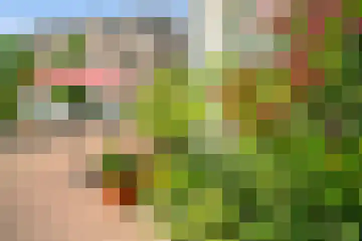 Staringplein 7 Amsterdam thumbnail 37