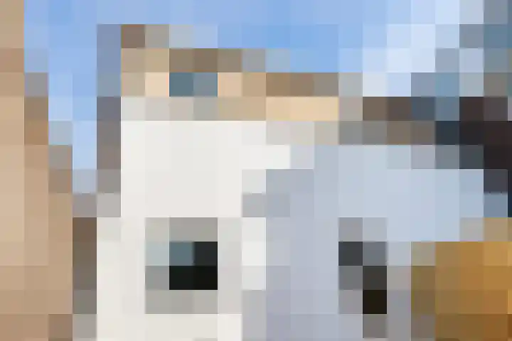 Staringstraat 1 b Gouda thumbnail 21