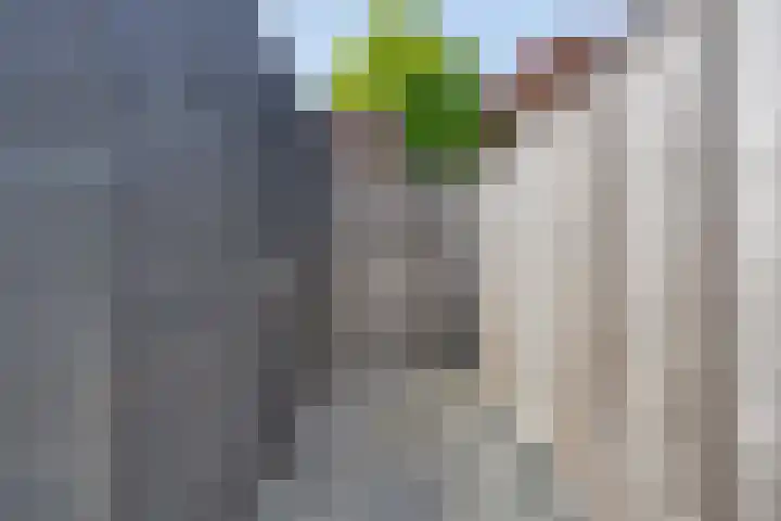 Staringstraat 11 C Gendringen thumbnail 35