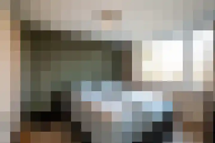 Staringstraat 113 Oss thumbnail 13