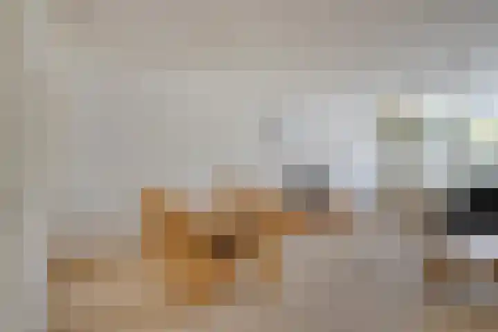 Staringstraat 120 Oss thumbnail 15