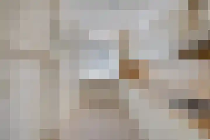 Staringstraat 120 Oss thumbnail 16