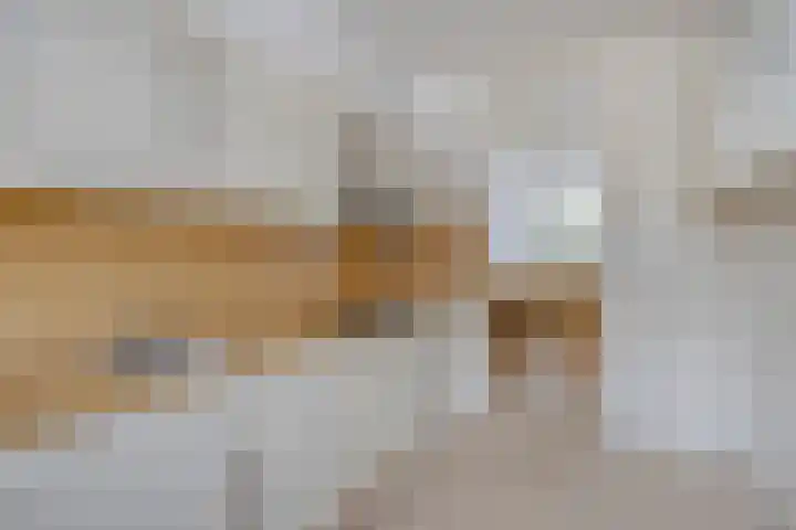 Staringstraat 120 Oss thumbnail 17