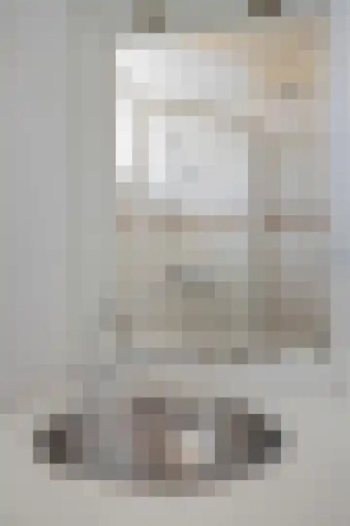 Staringstraat 120 Oss thumbnail 23