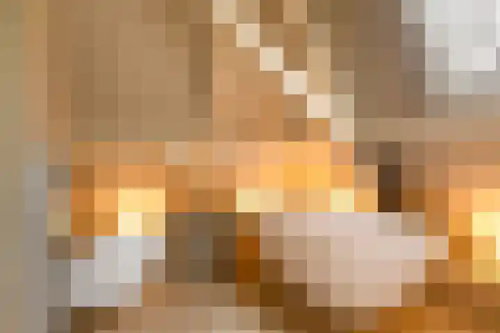 Staringstraat 120 Oss thumbnail 26