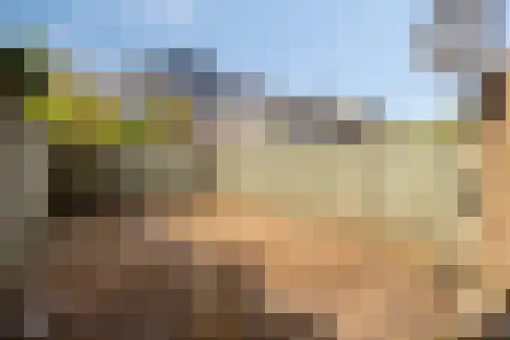 Staringstraat 120 Oss thumbnail 32