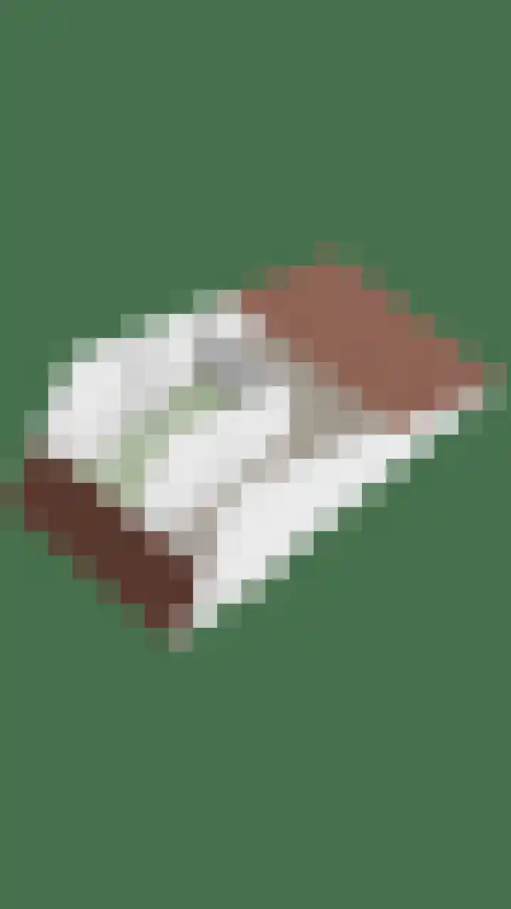 Staringstraat 120 Oss thumbnail 43