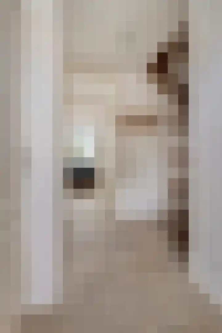 Staringstraat 120 Oss thumbnail 8