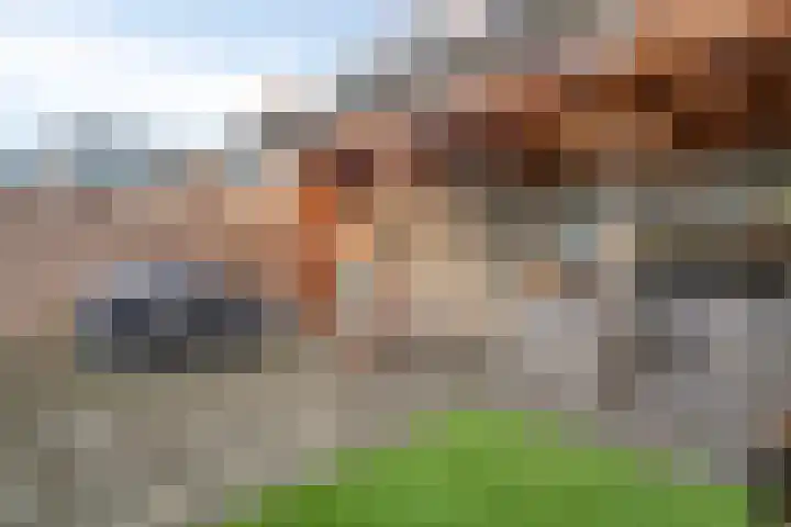 Staringstraat 14 Harderwijk thumbnail 41