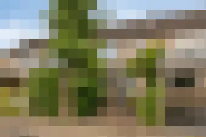 Staringstraat 147 Oss