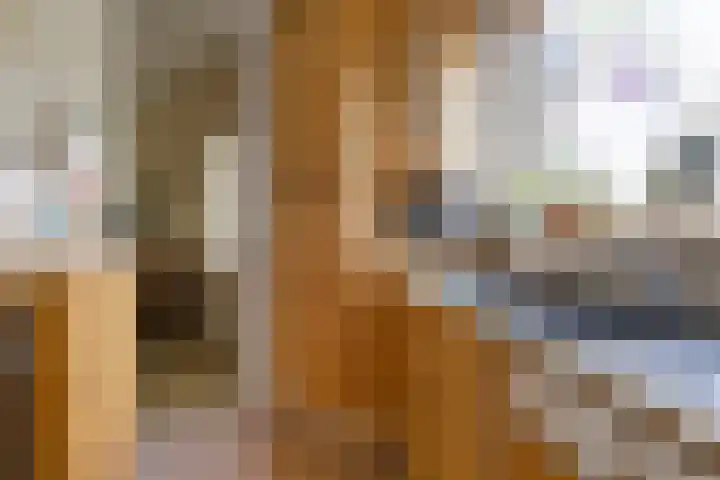 Staringstraat 147 Oss thumbnail 10