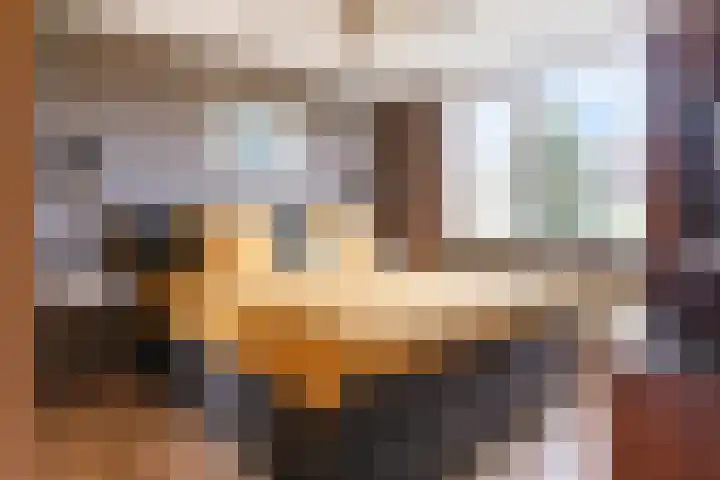 Staringstraat 147 Oss thumbnail 14