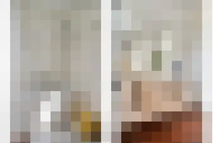 Staringstraat 147 Oss thumbnail 16