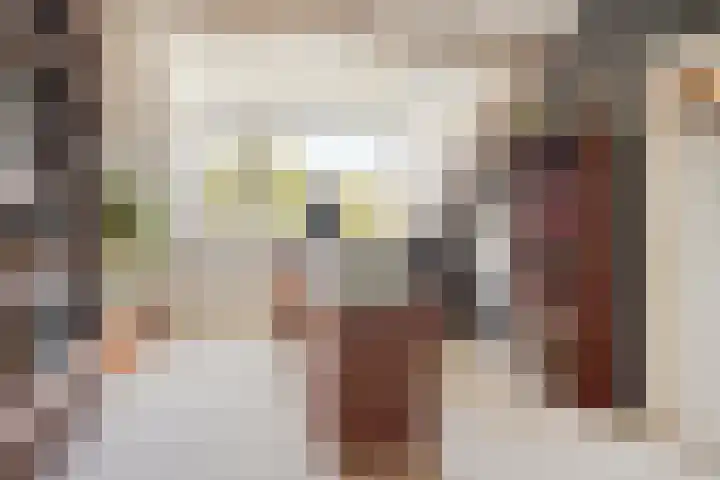 Staringstraat 147 Oss thumbnail 19
