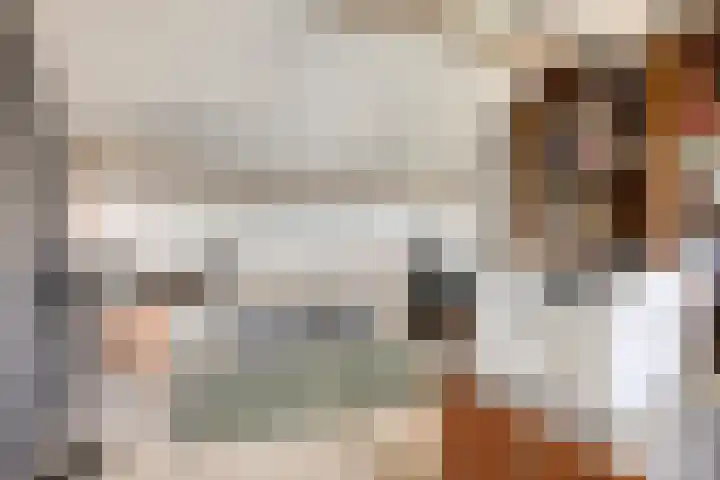 Staringstraat 147 Oss thumbnail 20