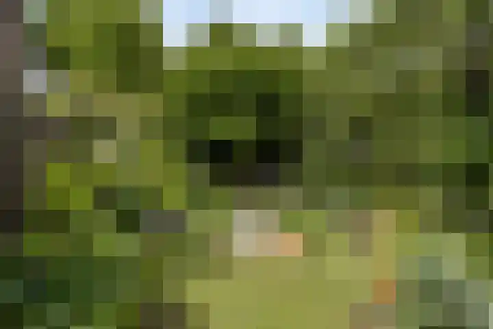 Staringstraat 147 Oss thumbnail 23
