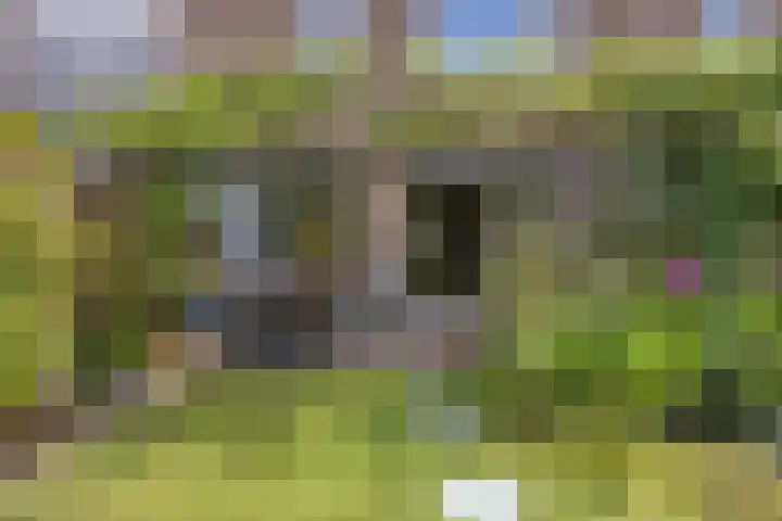 Staringstraat 147 Oss thumbnail 24