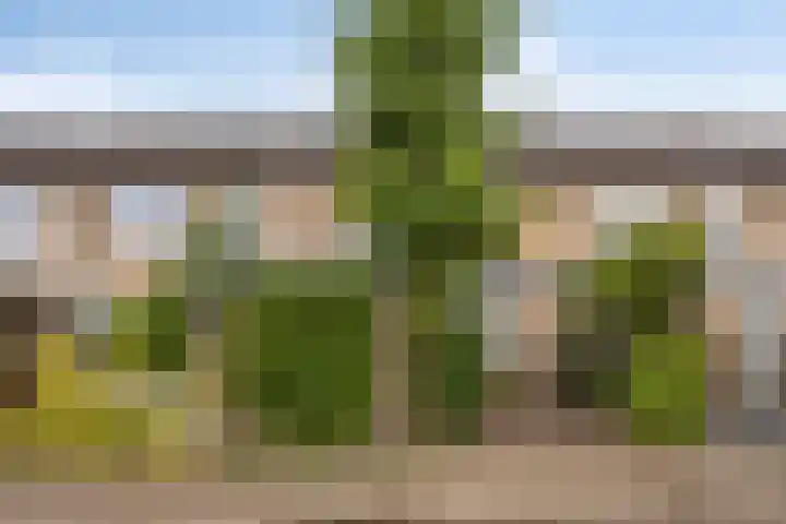 Staringstraat 147 Oss thumbnail 27