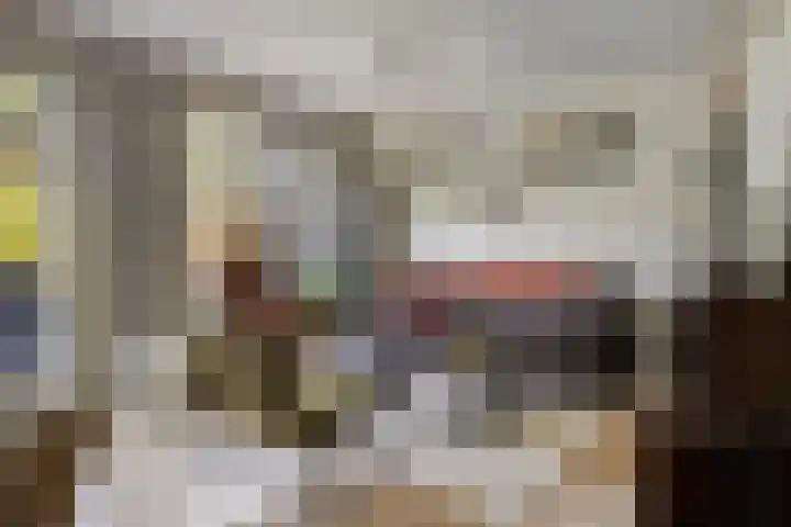 Staringstraat 147 Oss thumbnail 4