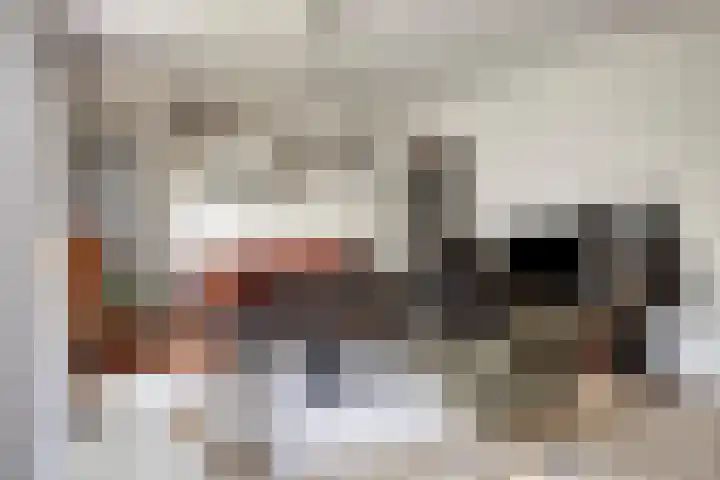 Staringstraat 147 Oss thumbnail 5