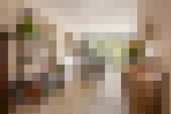 Staringstraat 147 Oss thumbnail 7