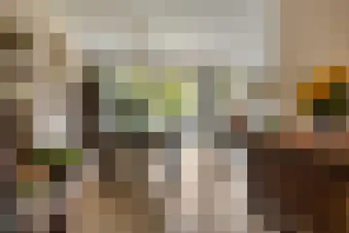Staringstraat 147 Oss thumbnail 8