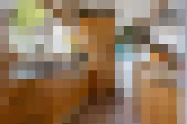 Staringstraat 147 Oss thumbnail 9
