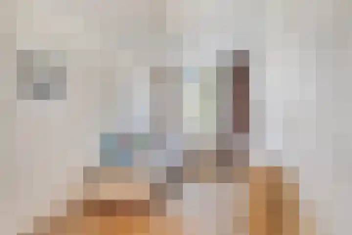 Staringstraat 183 Oss thumbnail 22