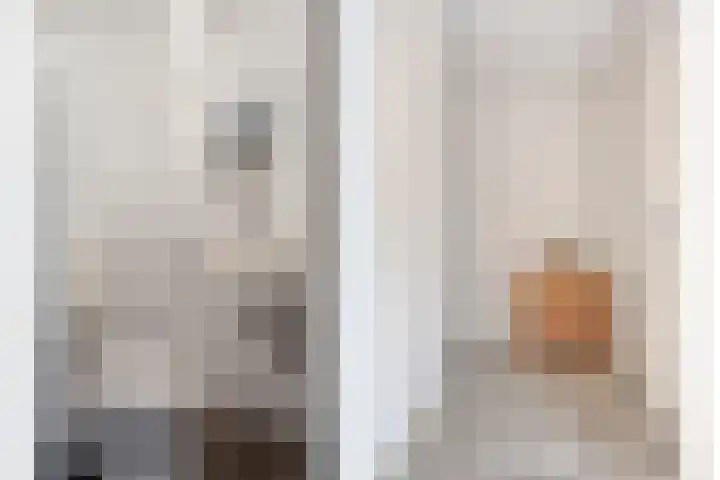 Staringstraat 21 Oss thumbnail 11