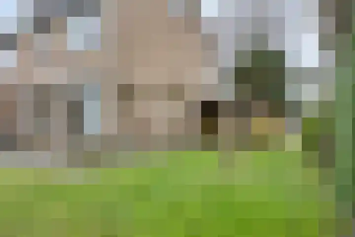 Staringstraat 21 Oss thumbnail 23