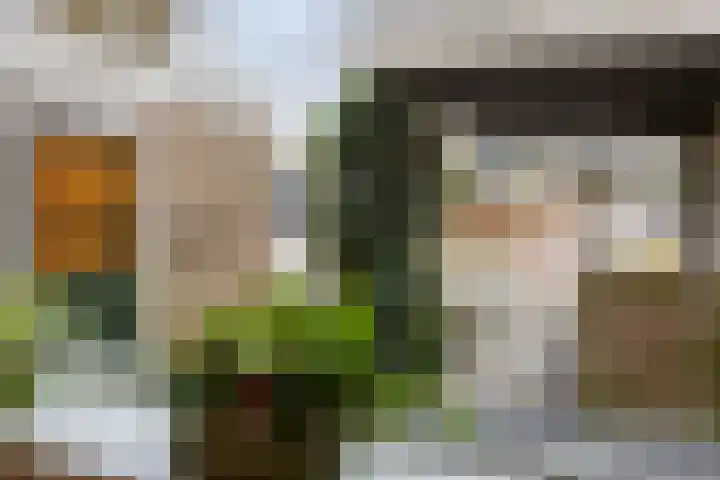 Staringstraat 21 Oss thumbnail 9