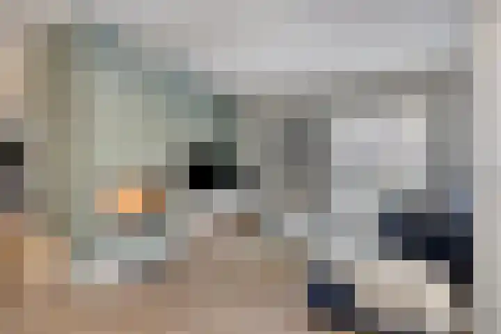 Staringstraat 302 Oss thumbnail 12