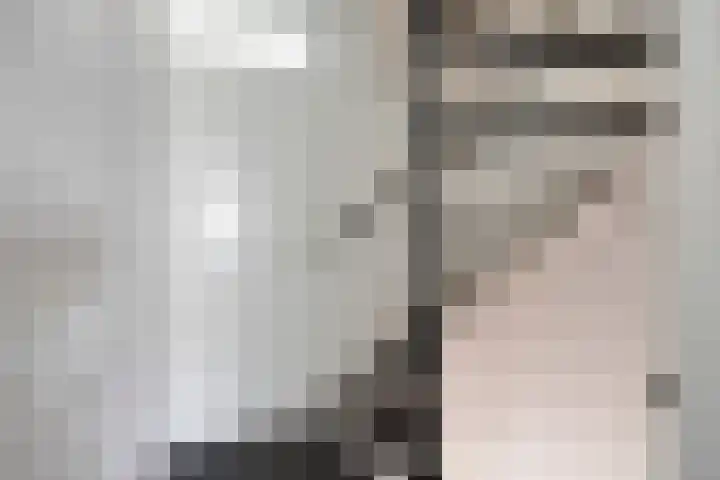 Staringstraat 302 Oss thumbnail 13