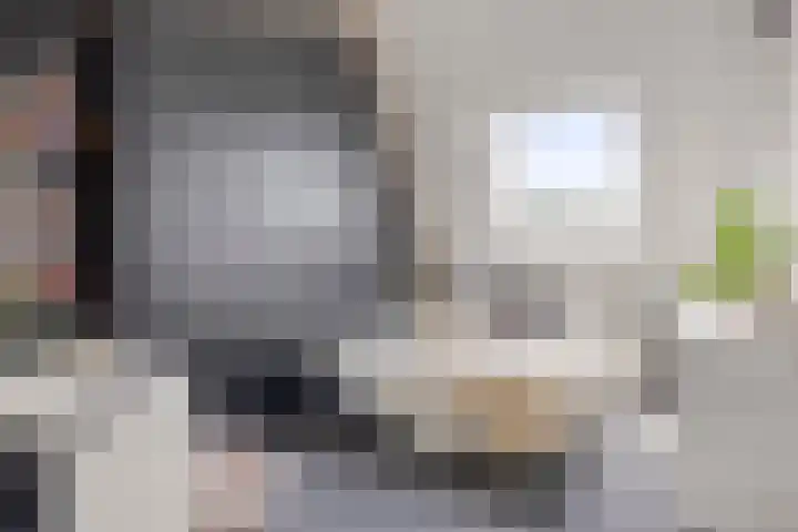 Staringstraat 302 Oss thumbnail 14