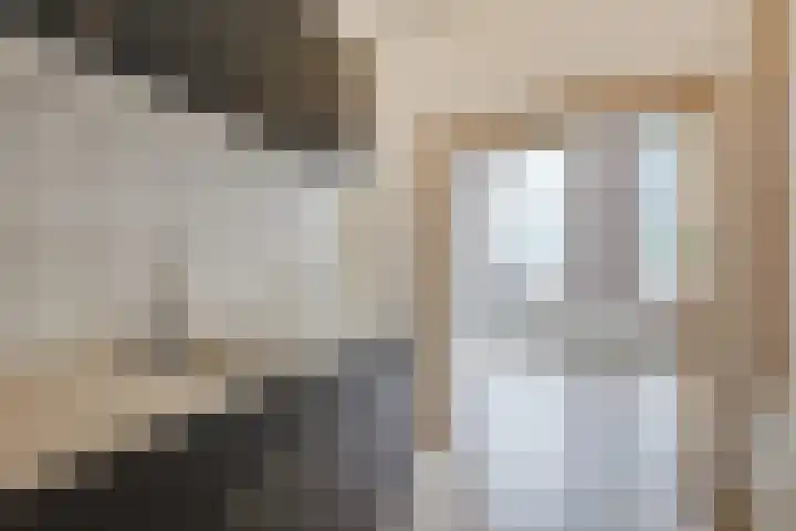 Staringstraat 302 Oss thumbnail 4