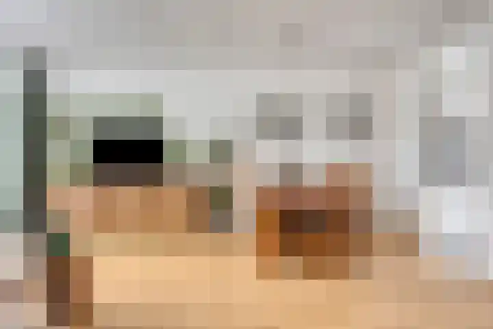 Staringstraat 302 Oss thumbnail 4