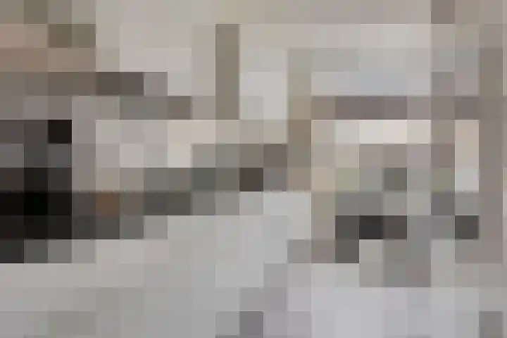Staringstraat 302 Oss thumbnail 5