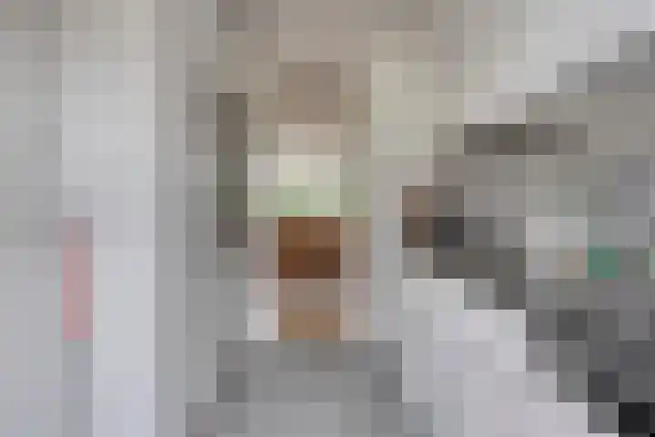 Staringstraat 302 Oss thumbnail 6