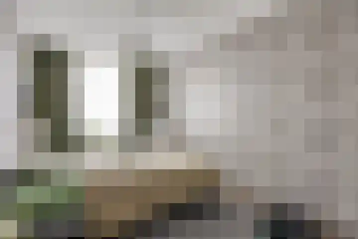 Staringstraat 302 Oss thumbnail 8